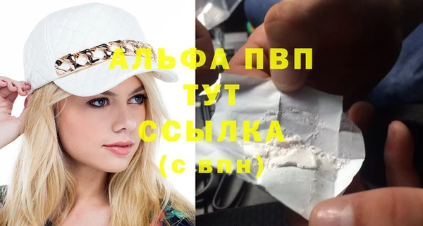 PSILOCYBIN Гусиноозёрск
