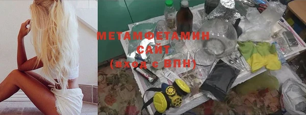 амф Гусев