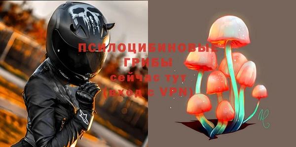 амф Гусев