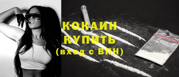 PSILOCYBIN Гусиноозёрск