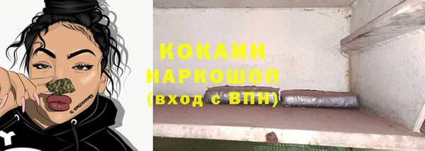 PSILOCYBIN Гусиноозёрск