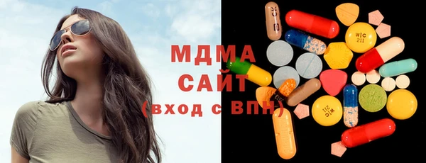 амф Гусев