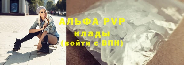 амф Гусев