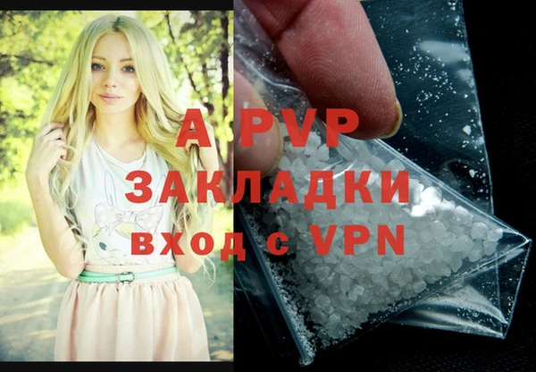 амф Гусев