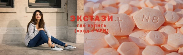 амф Гусев