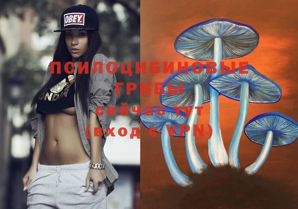 а пвп мука Гусь-Хрустальный