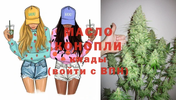 амф Гусев
