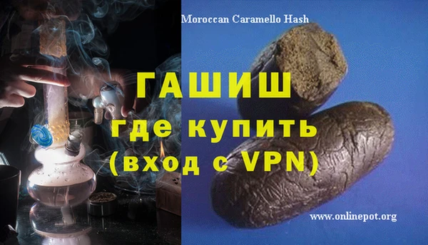 амф Гусев