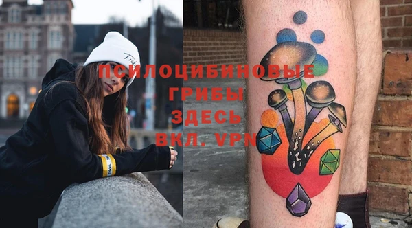 PSILOCYBIN Гусиноозёрск