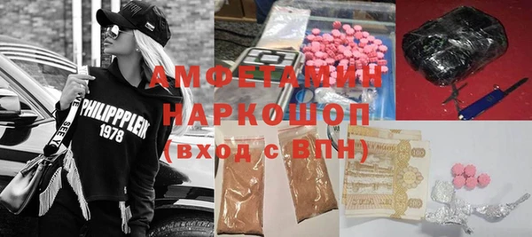 амф Гусев