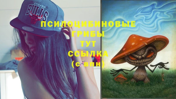 амф Гусев