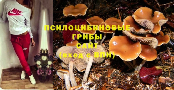 амф Гусев