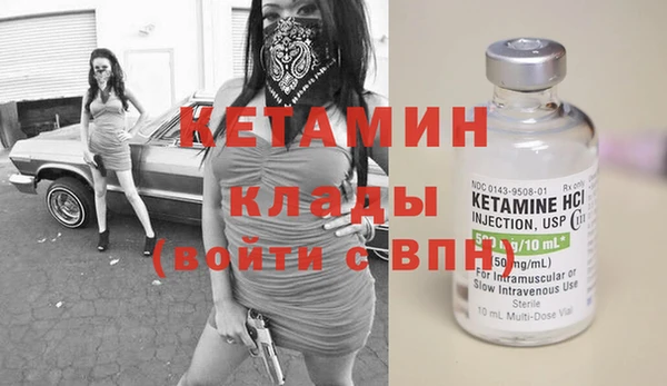 амф Гусев