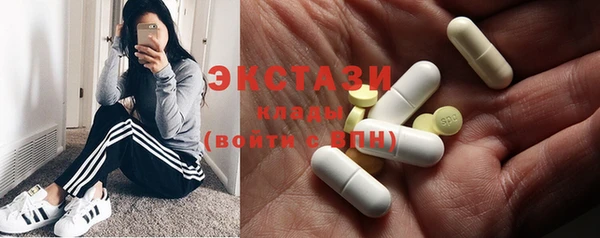 амф Гусев