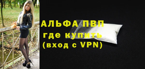 амф Гусев